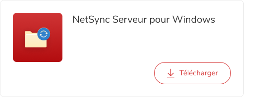 bannière_dl_netsync